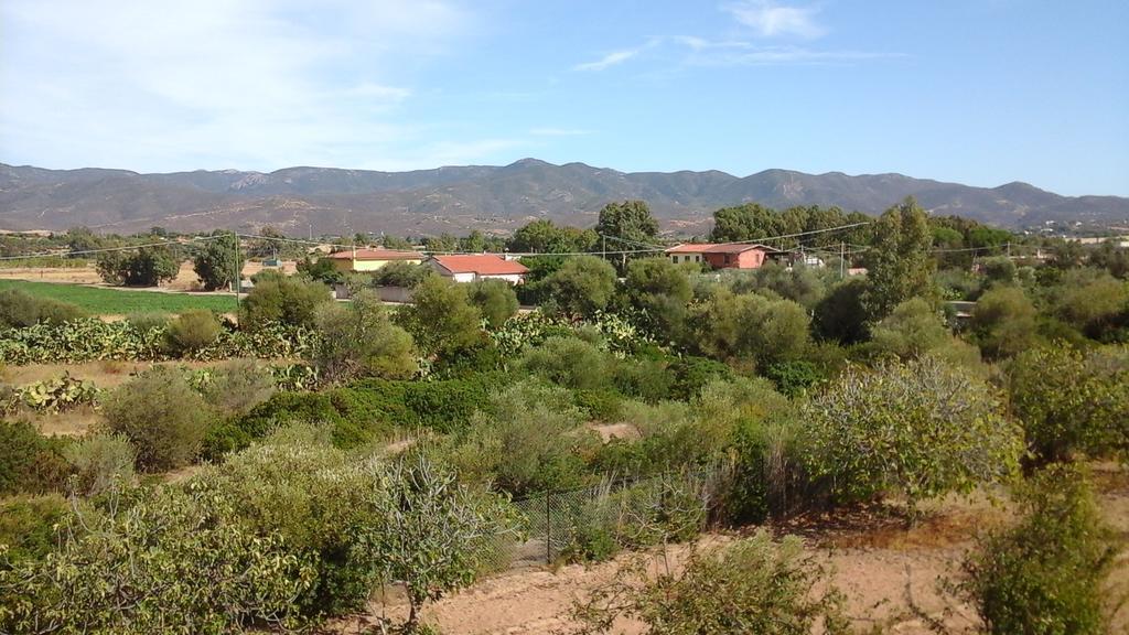 Villa Renzo E Lucia Sant Isidoro  外观 照片